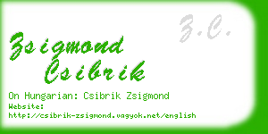 zsigmond csibrik business card